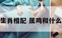 属鸡和哪个生肖相配 属鸡和什么生肖比较合