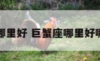 巨蟹座哪里好 巨蟹座哪里好哪里不好
