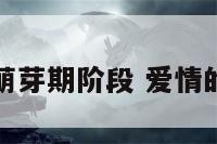 爱情萌芽期阶段 爱情的萌芽