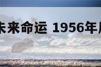 56年属羊未来命运 1956年属羊的人什么命