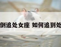 如何倒追处女座 如何追到处女座