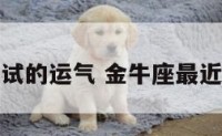 金牛座考试的运气 金牛座最近考试运气