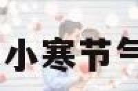 小寒节气装修 小寒节气装修图片大全