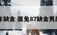 属兔87年缺金 属兔87缺金男属于啥兔