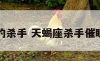 天蝎座的杀手 天蝎座杀手催眠幼天虎