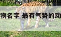 有气势的动物名字 最有气势的动物是什么动物