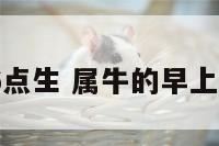 属牛早上6点生 属牛的早上6点多出生