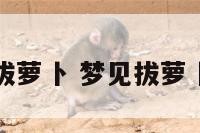 梦到孕妇拔萝卜 梦见拔萝卜是胎梦吗