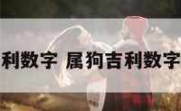 狗年的吉利数字 属狗吉利数字组合大全