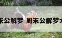 周末公解梦 周末公解梦大全