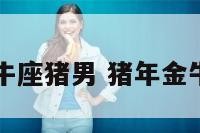 金牛座猪男 猪年金牛男