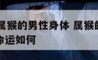 2018年属猴的男性身体 属猴的男人2020年的命运如何