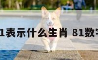 数字81表示什么生肖 81数字意思