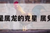 属兔是不是属龙的克星 属兔属龙相害