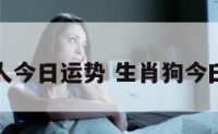 生肖狗的人今日运势 生肖狗今曰运势查询