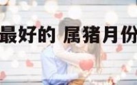 属猪月份出生最好的 属猪月份出生最好的年份