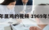 1969年属鸡的视频 1969年生肖鸡
