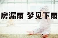 梦到下雨天厨房漏雨 梦见下雨厨房漏水是什么意思