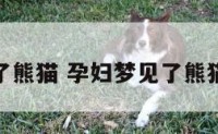 孕妇梦见了熊猫 孕妇梦见了熊猫什么意思