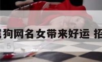 属狗网 属狗网名女带来好运 招财的名字