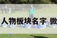 微信平台人物板块名字 微信角色名