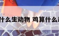 鸡是什么生动物 鸡算什么动物?