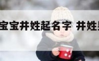 鸡年6月男宝宝井姓起名字 井姓男孩有寓意的名字