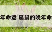 属鼠的晚年命运 属鼠的晚年命运好不好