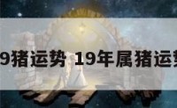 19猪运势 19年属猪运势