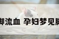 孕妇梦见脚流血 孕妇梦见脚流血不止