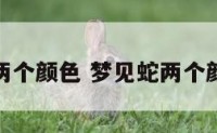 梦见蛇两个颜色 梦见蛇两个颜色的蛇