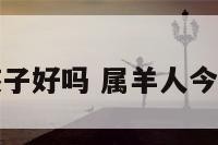 属羊今年要孩子好吗 属羊人今年生小孩好吗