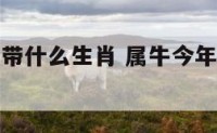 属牛今年佩带什么生肖 属牛今年佩带什么生肖饰品