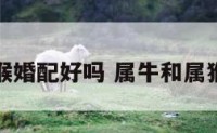 属牛与属猴婚配好吗 属牛和属猴的人配吗