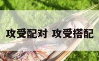 攻受配对 攻受搭配