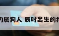 辰时出生的属狗人 辰时出生的狗宝宝命运