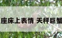 天枰座巨蟹座床上表情 天秤巨蟹致命的吸引
