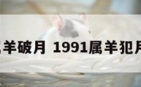 1991属羊破月 1991属羊犯月在几月