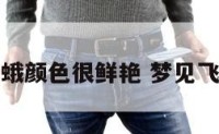 梦见飞蛾颜色很鲜艳 梦见飞蛾扑面