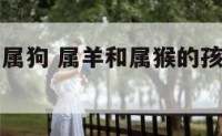 羊和猴孩子属狗 属羊和属猴的孩子要什么属相好