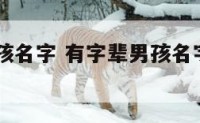 有字辈男孩名字 有字辈男孩名字大全2015