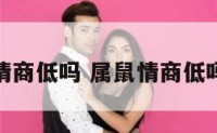 属鼠情商低吗 属鼠情商低吗男人