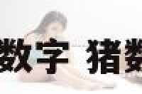 2018猪的数字 猪数字是什么