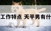 天平男工作特点 天平男有什么特点