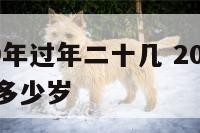 属猪2019年过年二十几 2019年属猪的人今年多少岁