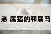 属猪属马两兄弟 属猪的和属马的亲人怎么样