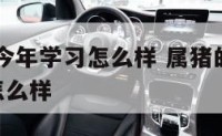 属猪孩子今年学习怎么样 属猪的孩子2020年运势怎么样