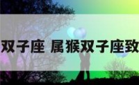 属猴加双子座 属猴双子座致命弱点