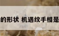 机遇纹的形状 机遇纹手相是怎样的