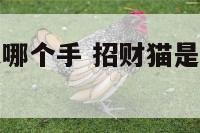 招财猫摇的是哪个手 招财猫是左手摇还是右手摇